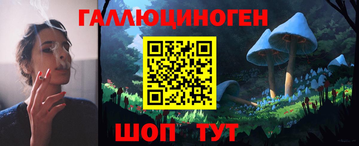 Миасс  Псилоцибиновые грибы Psilocybine cubensis  Вход с VPN 